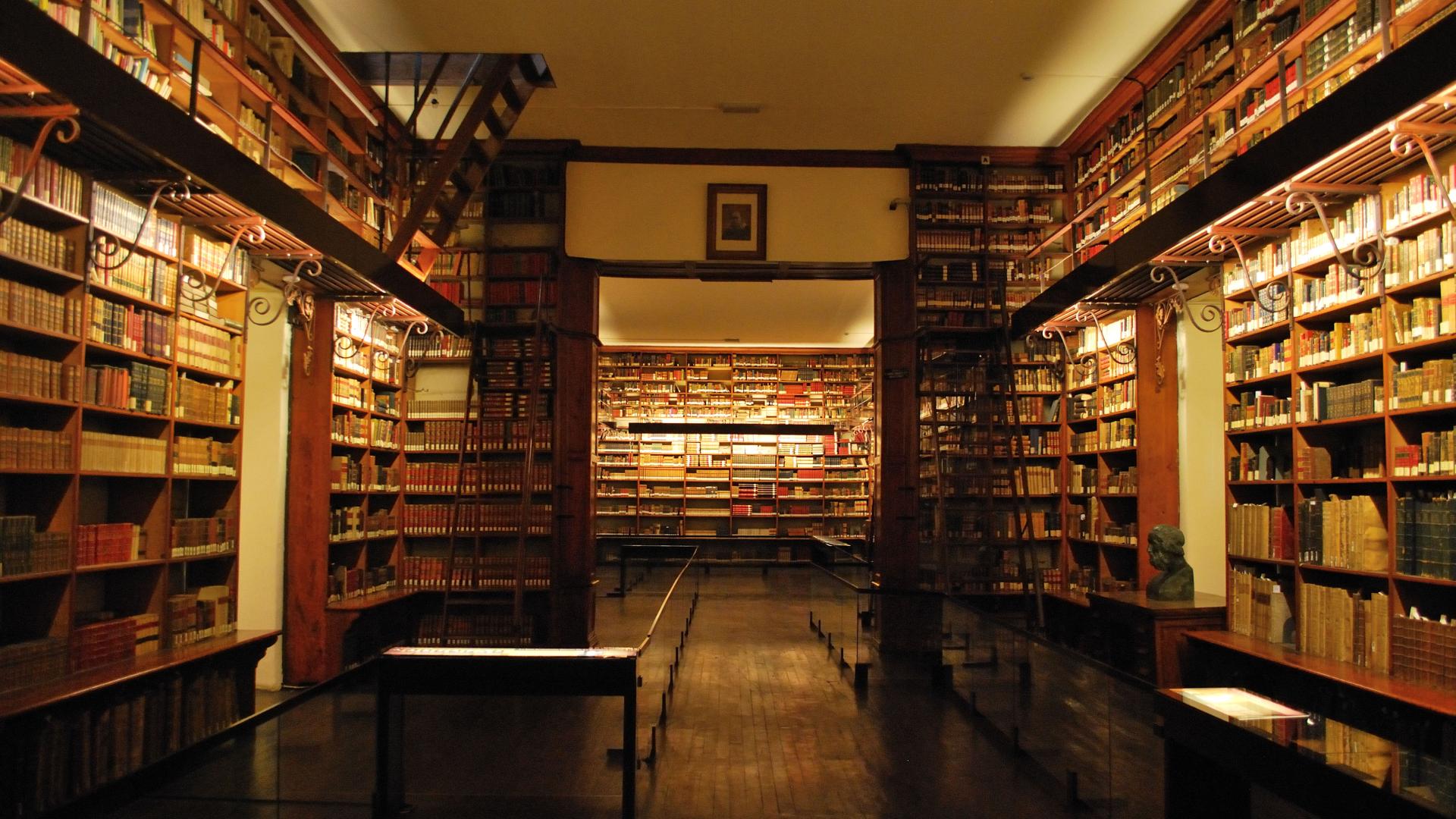 Vista general de la sala que alberga la Biblioteca