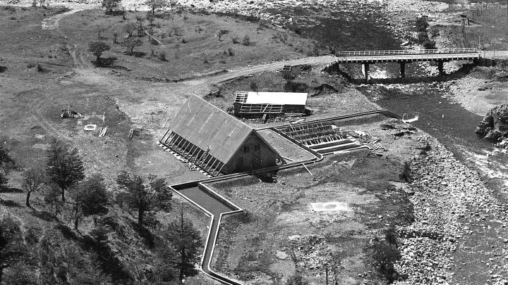 Foto del libro Estacion Psicícola
