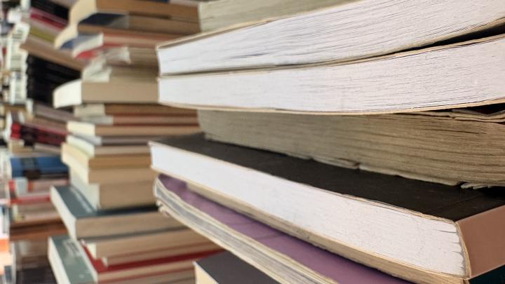 Actividades de formación, educación y apoyo al emprendimiento creativo y derecho de autor se realizarán este miércoles y jueves en Coyhaique