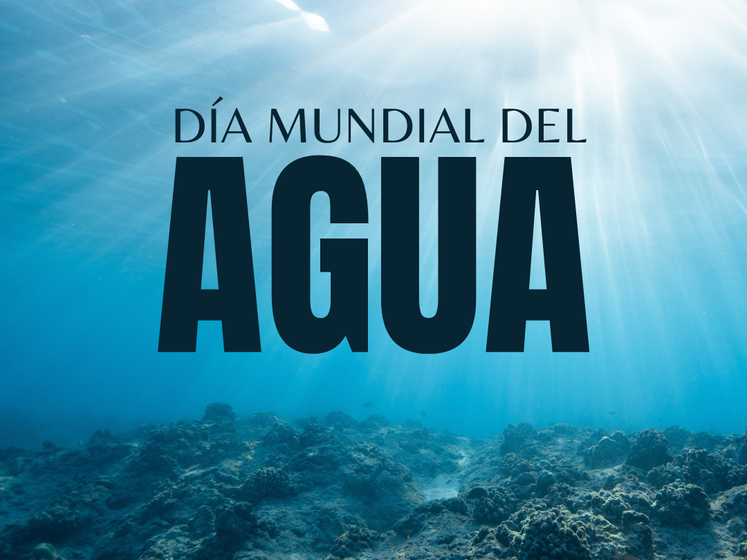 dia agua