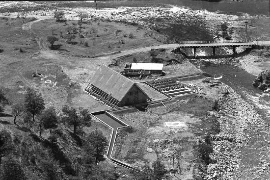 Foto del libro Estacion Psicícola